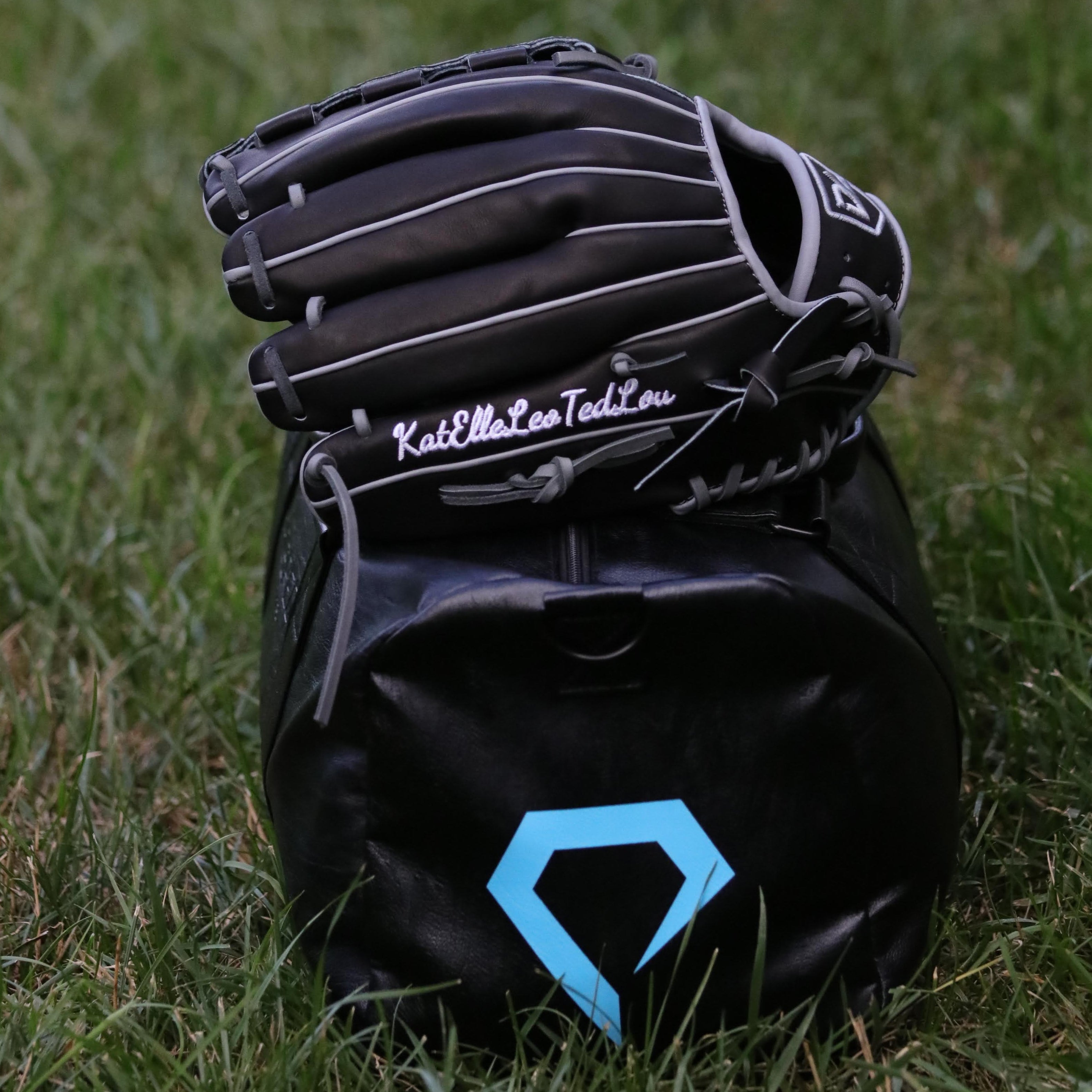 Dan Altavilla Pro Model Custom Glove
