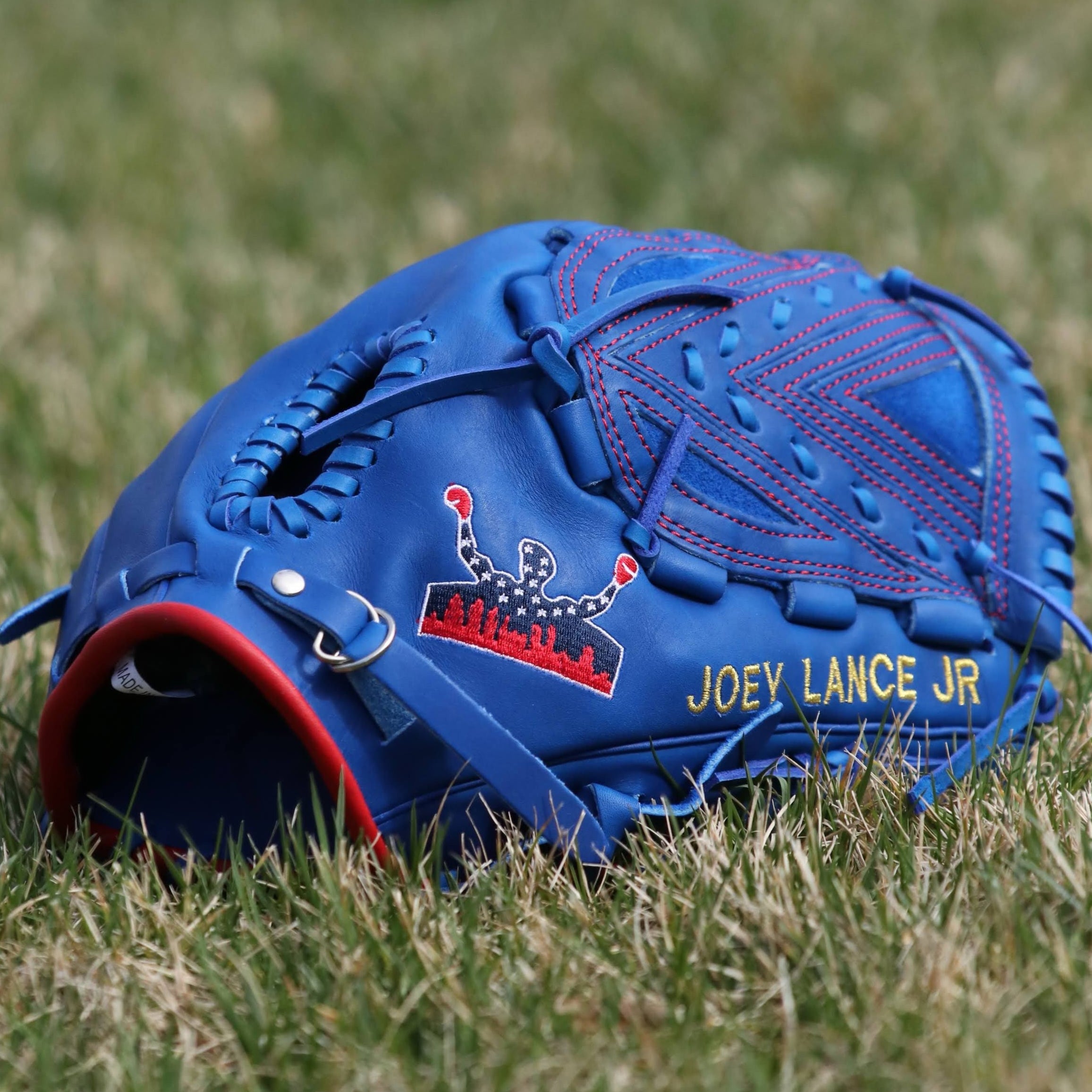 Joey Lancellotti Pro Model Custom Glove
