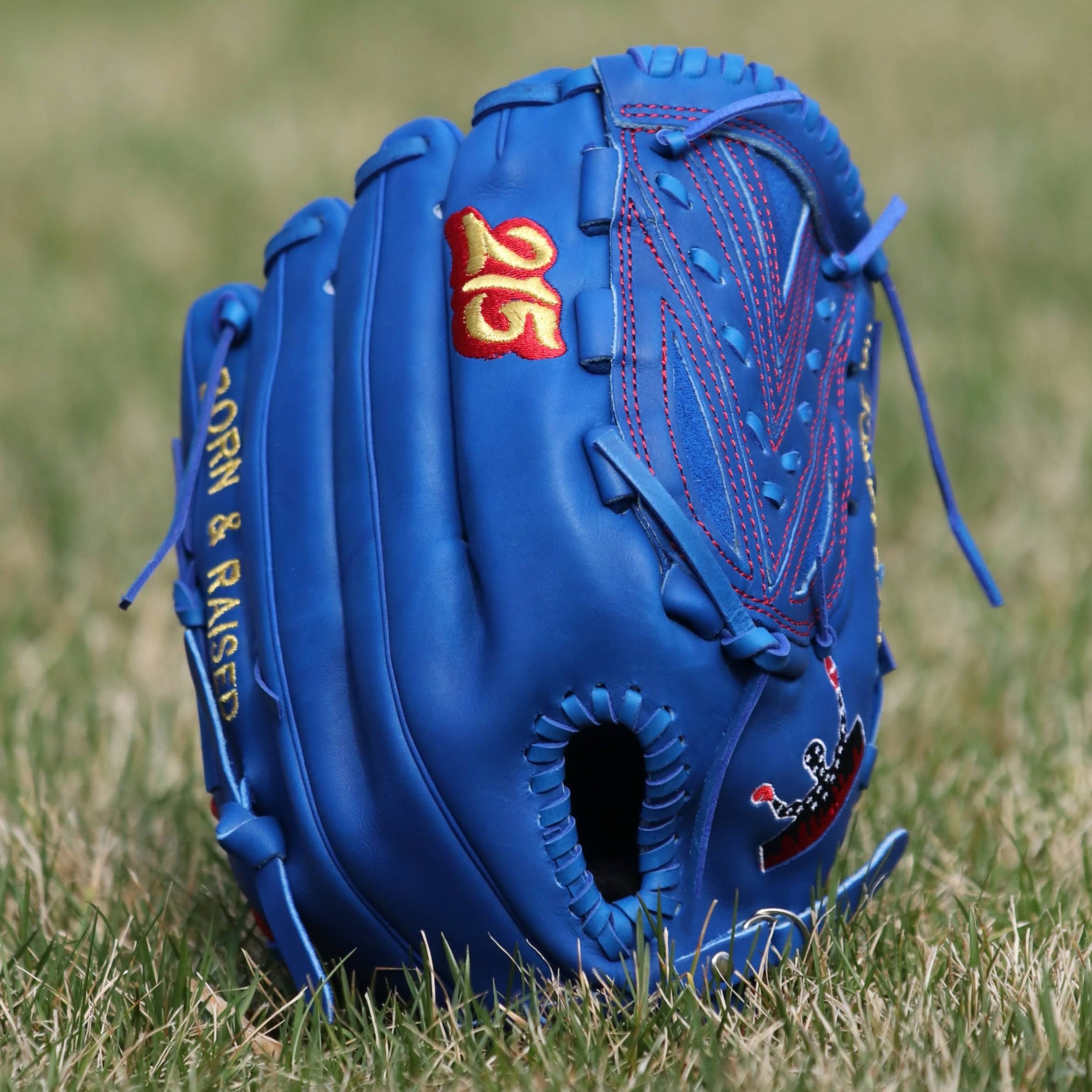 Joey Lancellotti Pro Model Custom Glove