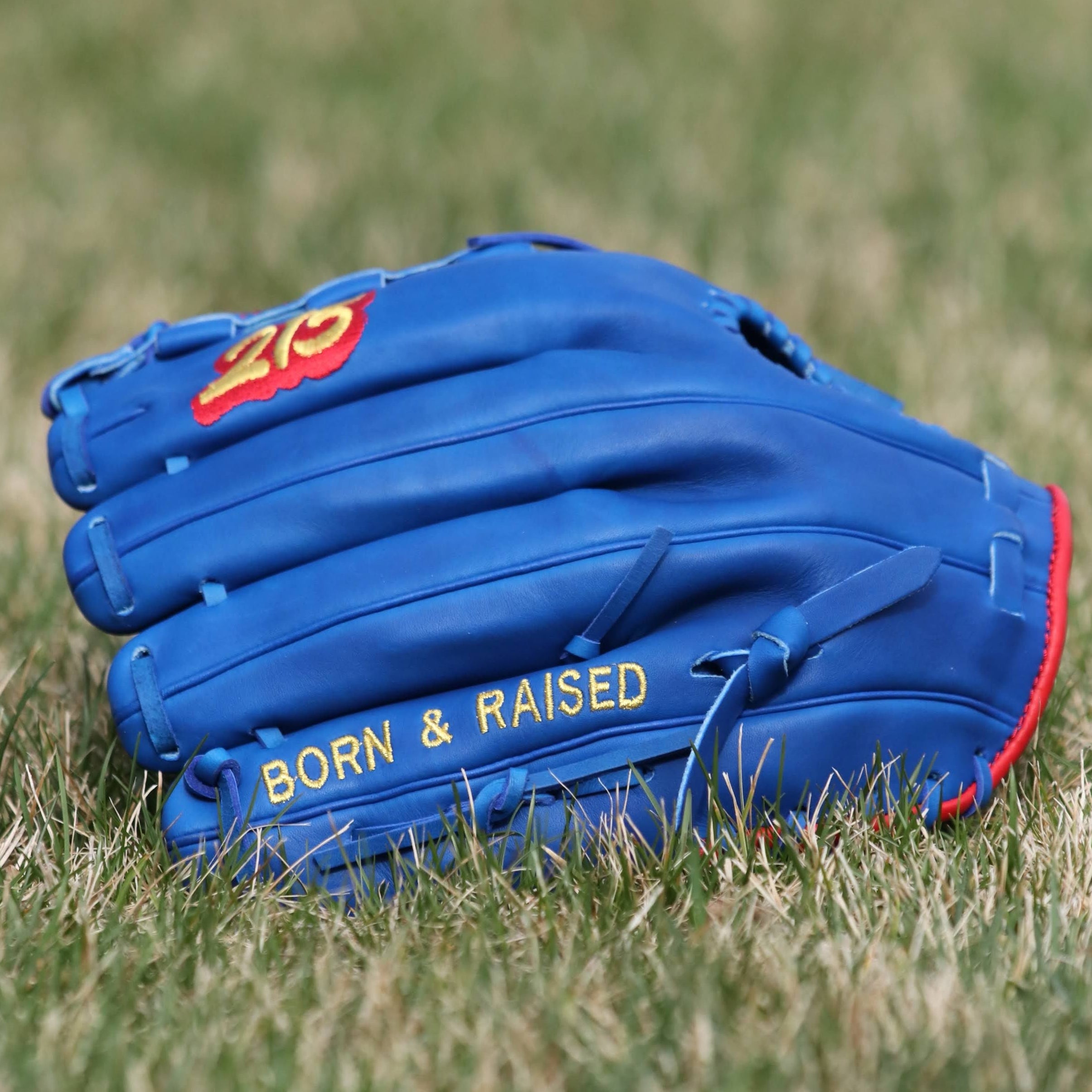 Joey Lancellotti Pro Model Custom Glove