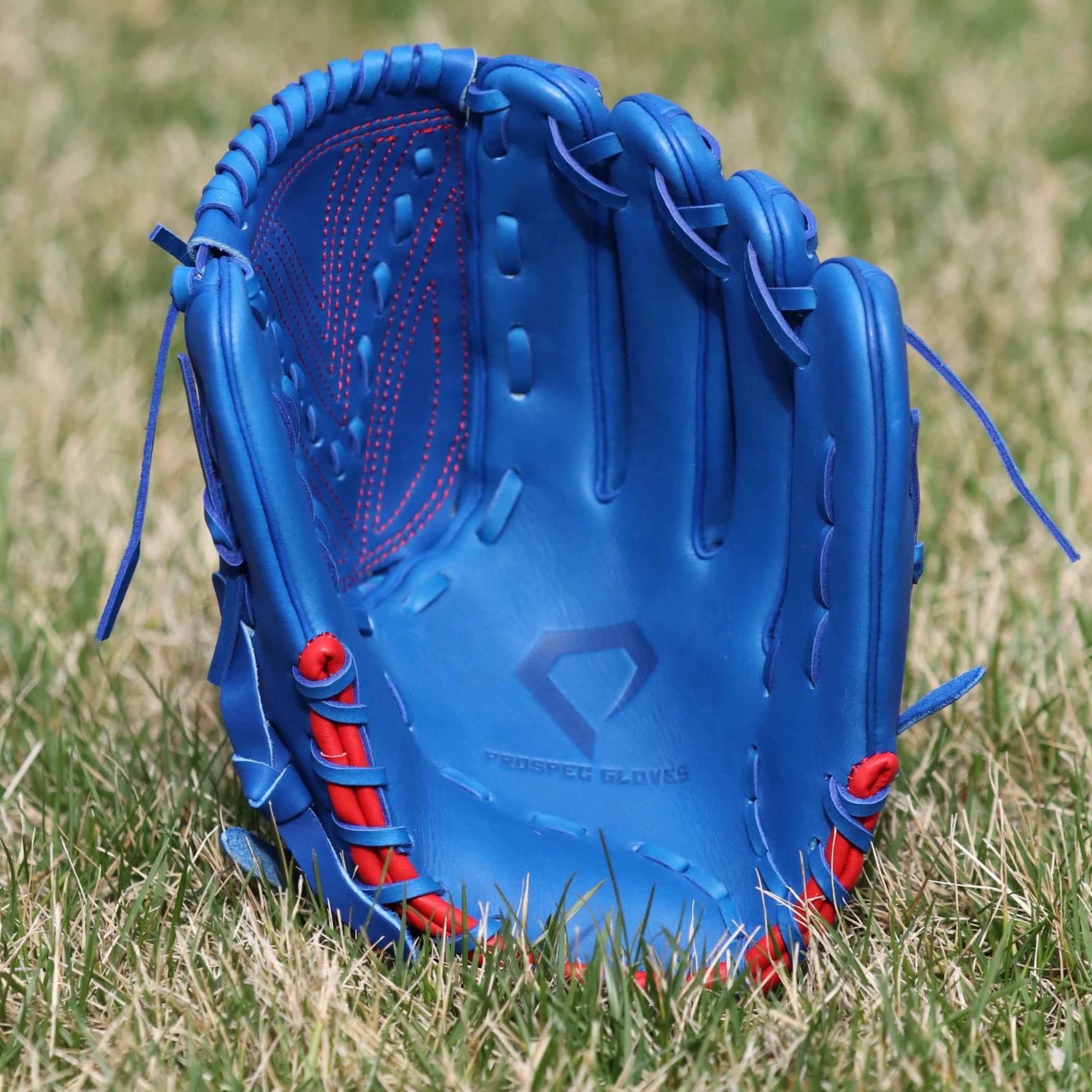 Joey Lancellotti Pro Model Custom Glove