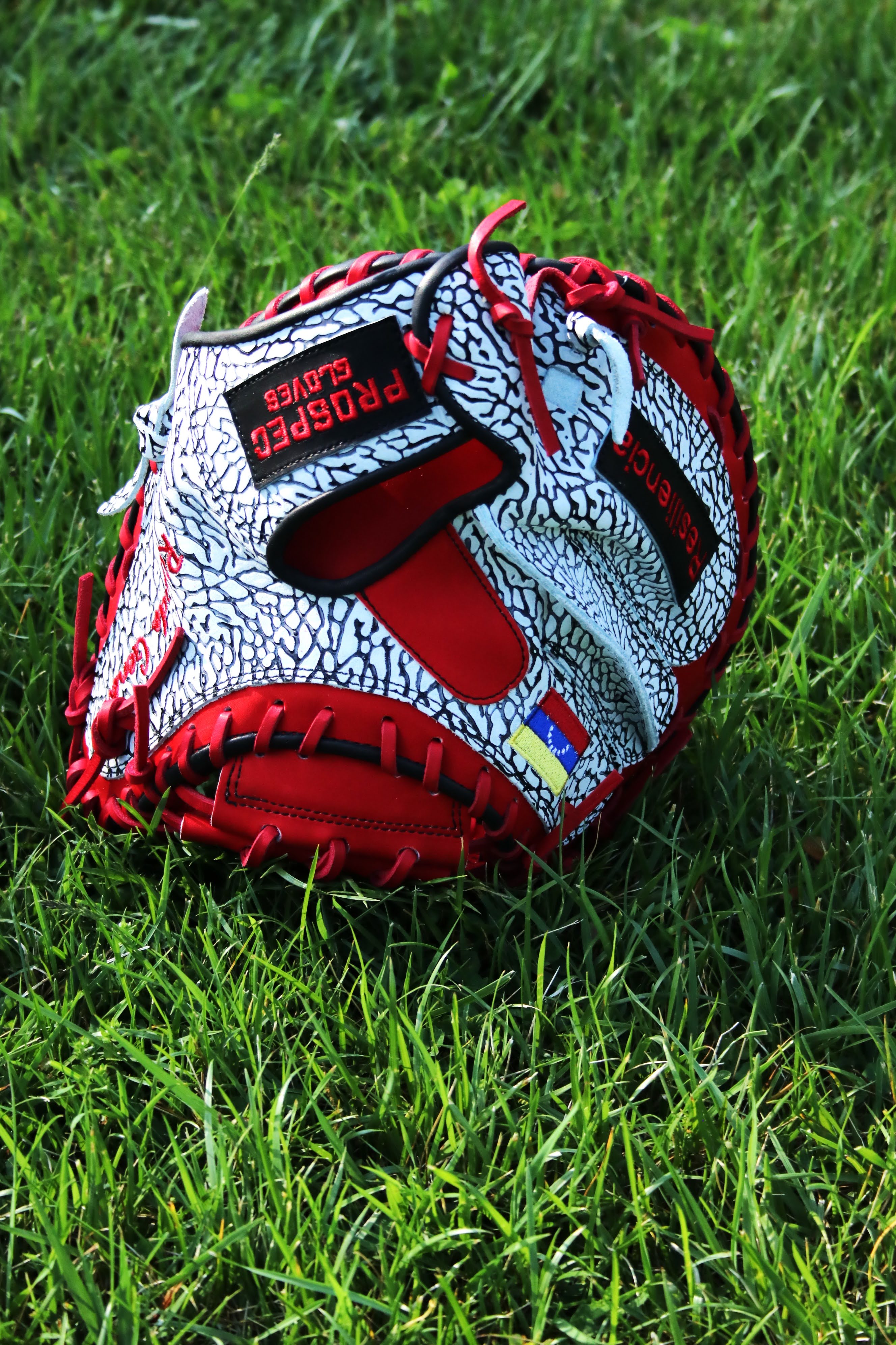 Ricardo Genoves Pro Model Custom Catchers Mitt