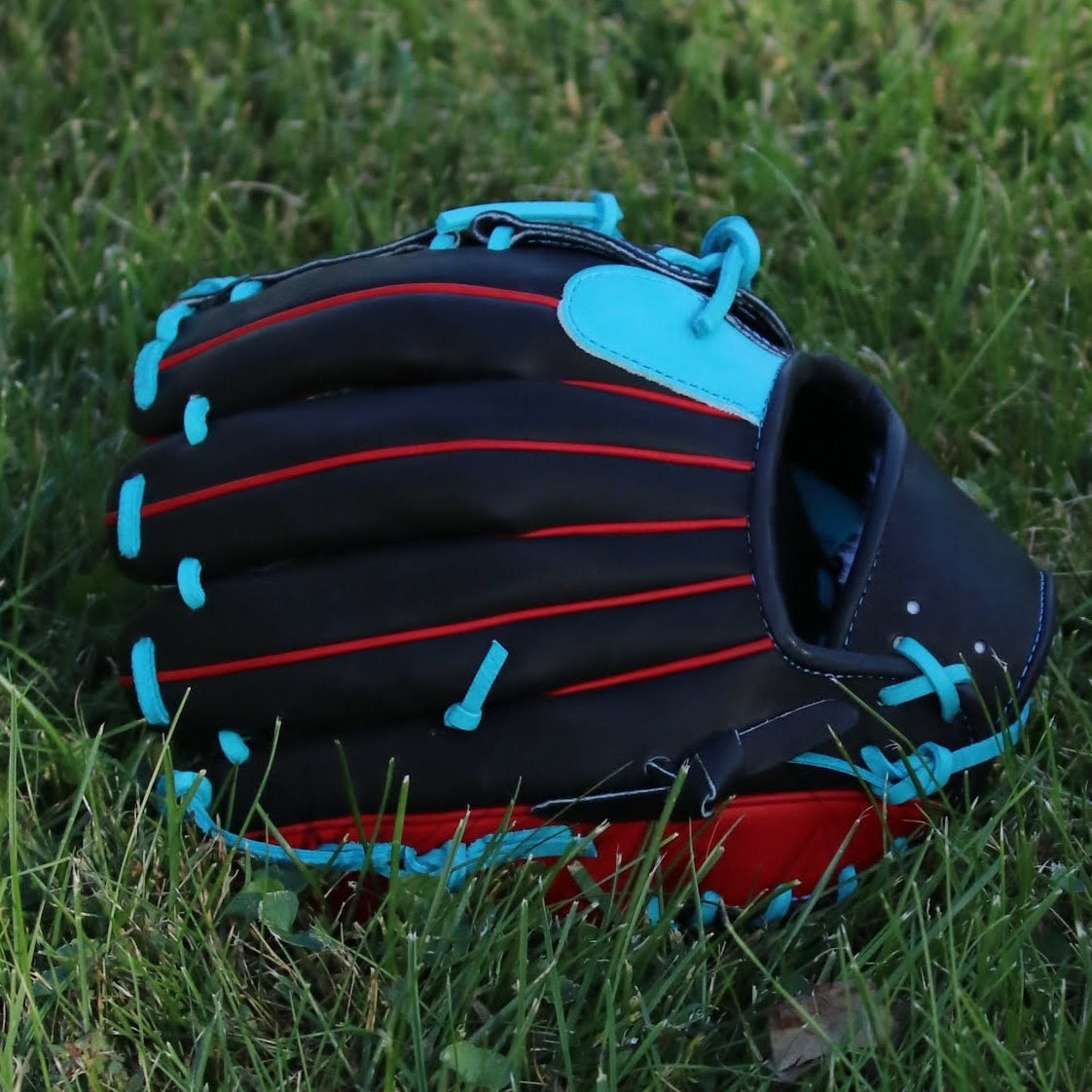 Will Schomberg Pro Model Custom Glove