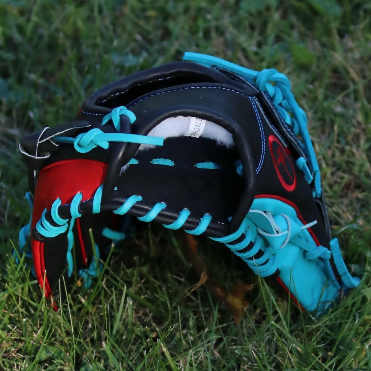 Will Schomberg Pro Model Custom Glove