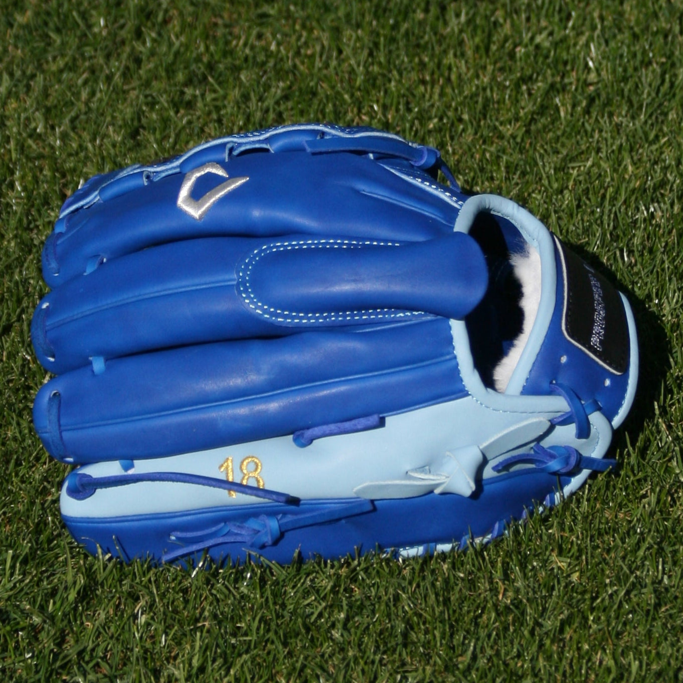 Ben Dum Custom Glove