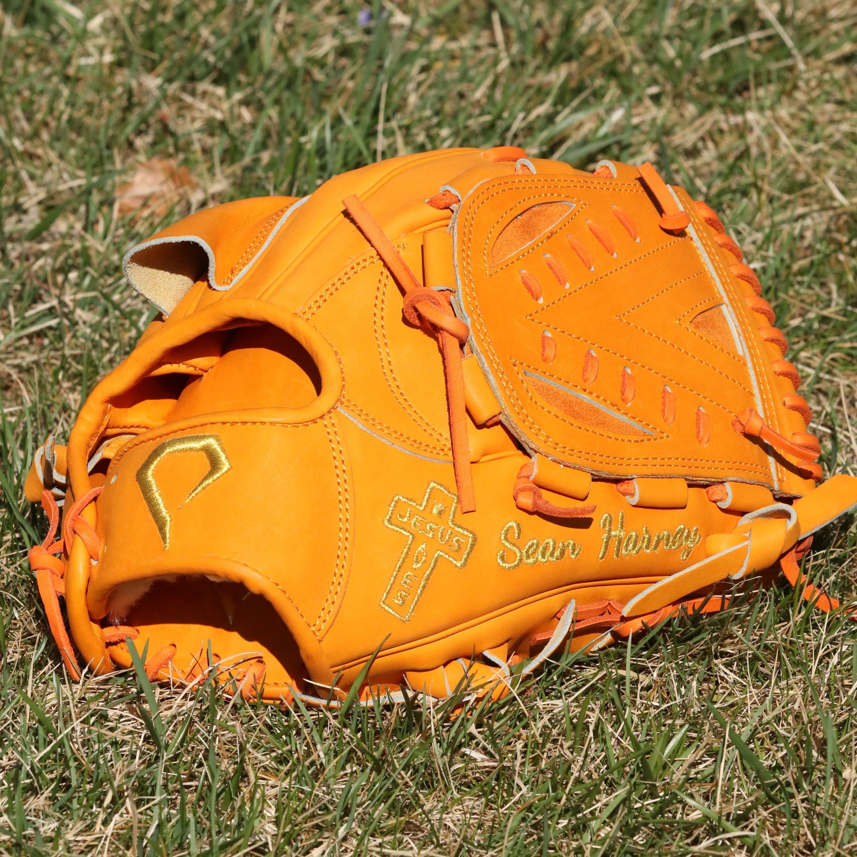 Sean Harney Pro Model Custom Glove