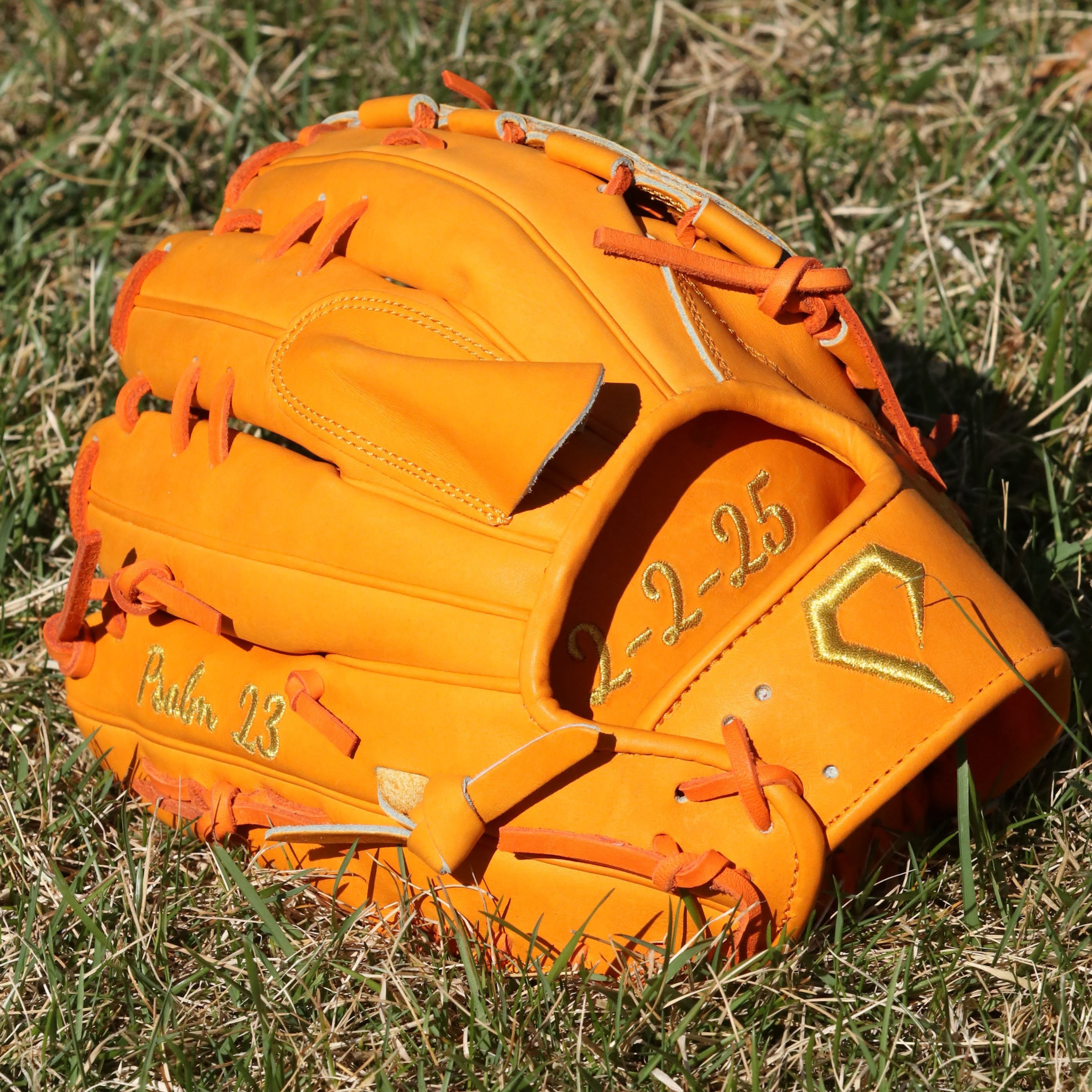 Sean Harney Pro Model Custom Glove