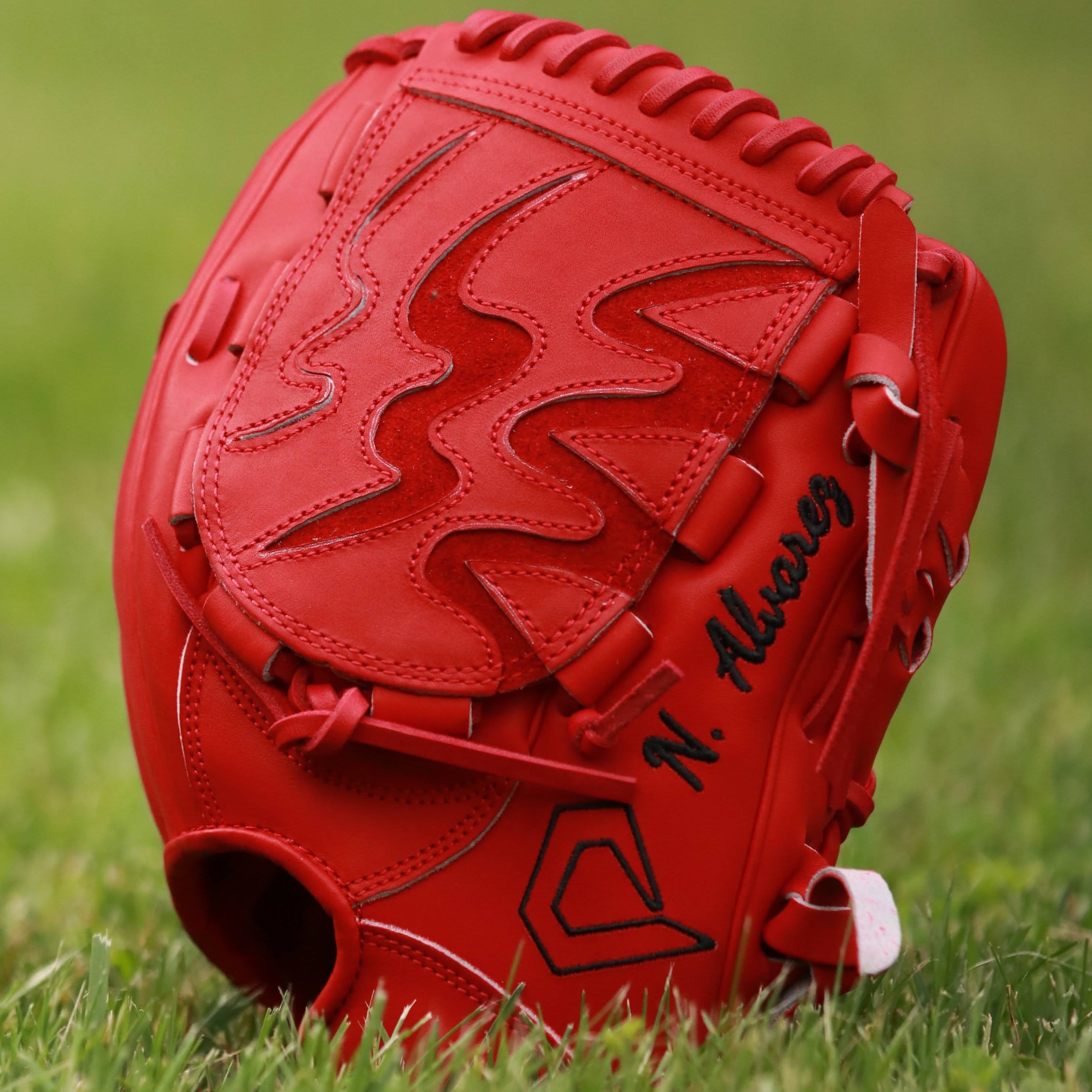 Nelson Alvarez Pro Model Custom Glove