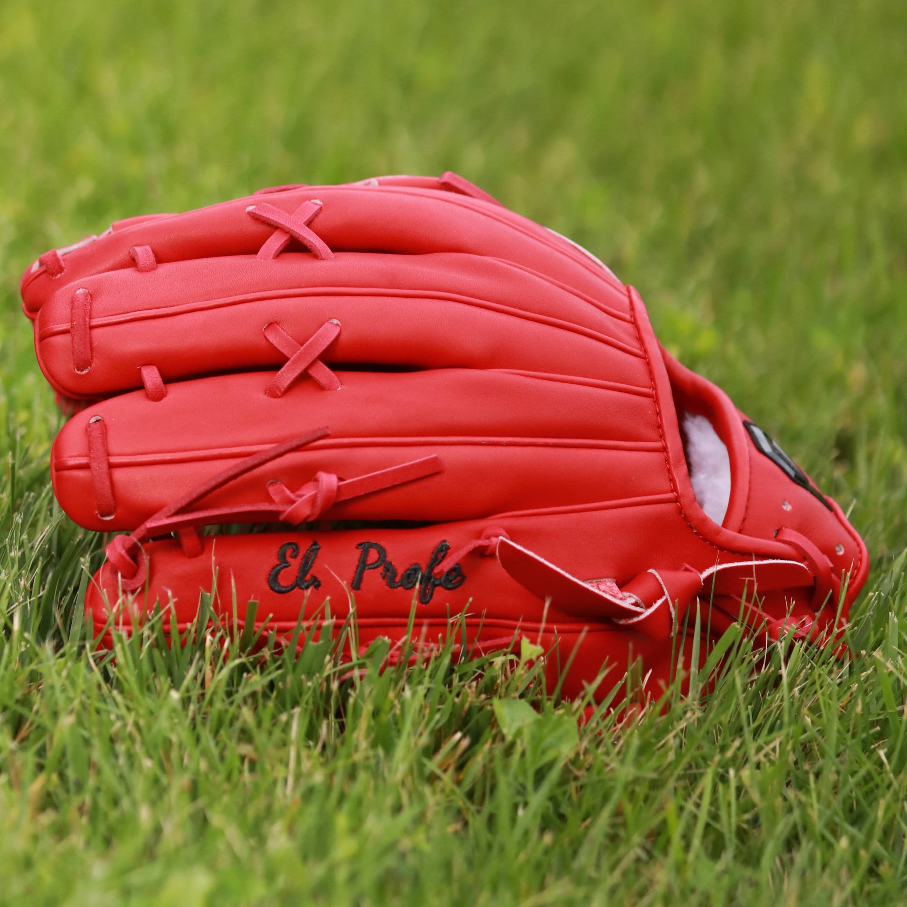 Nelson Alvarez Pro Model Custom Glove