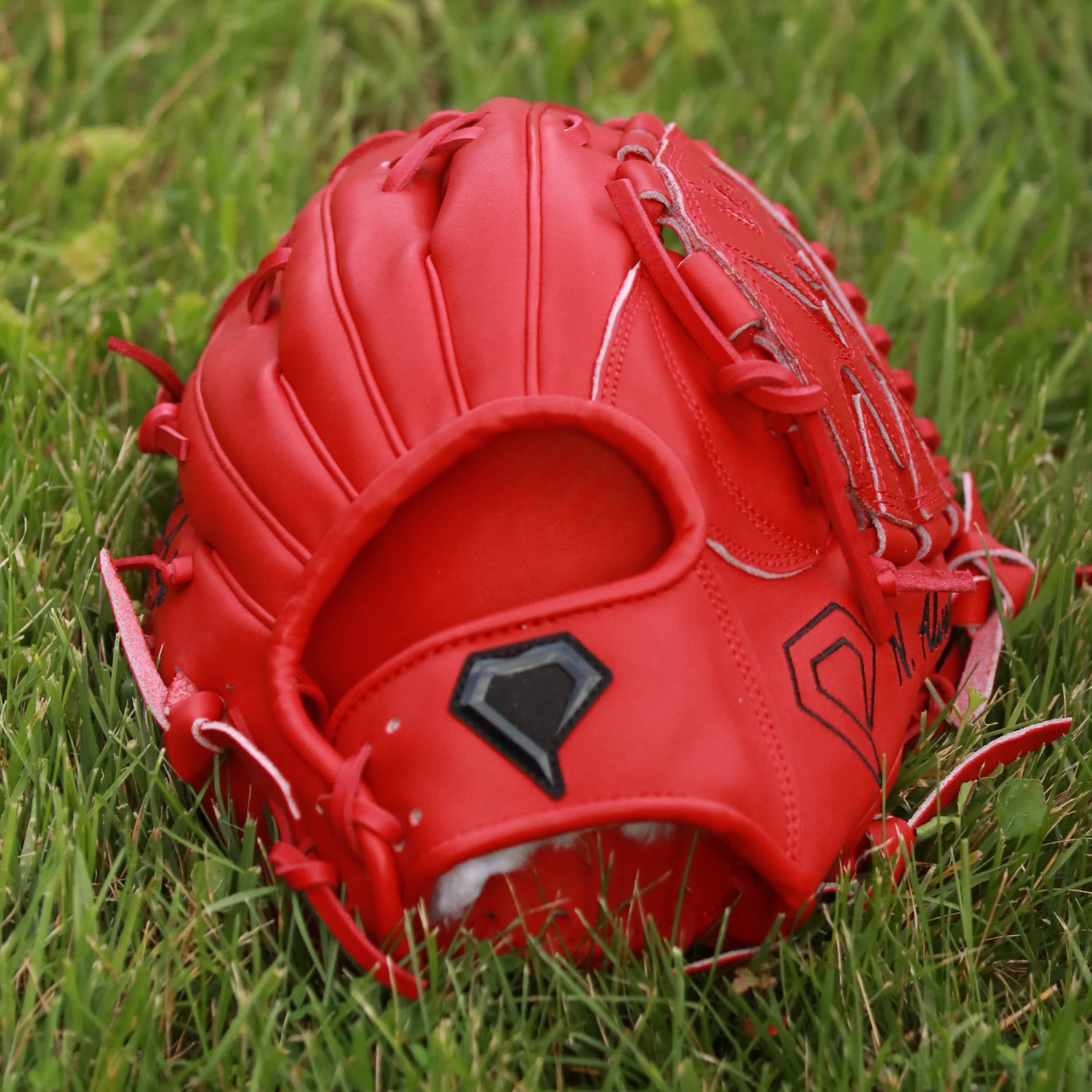 Nelson Alvarez Pro Model Custom Glove