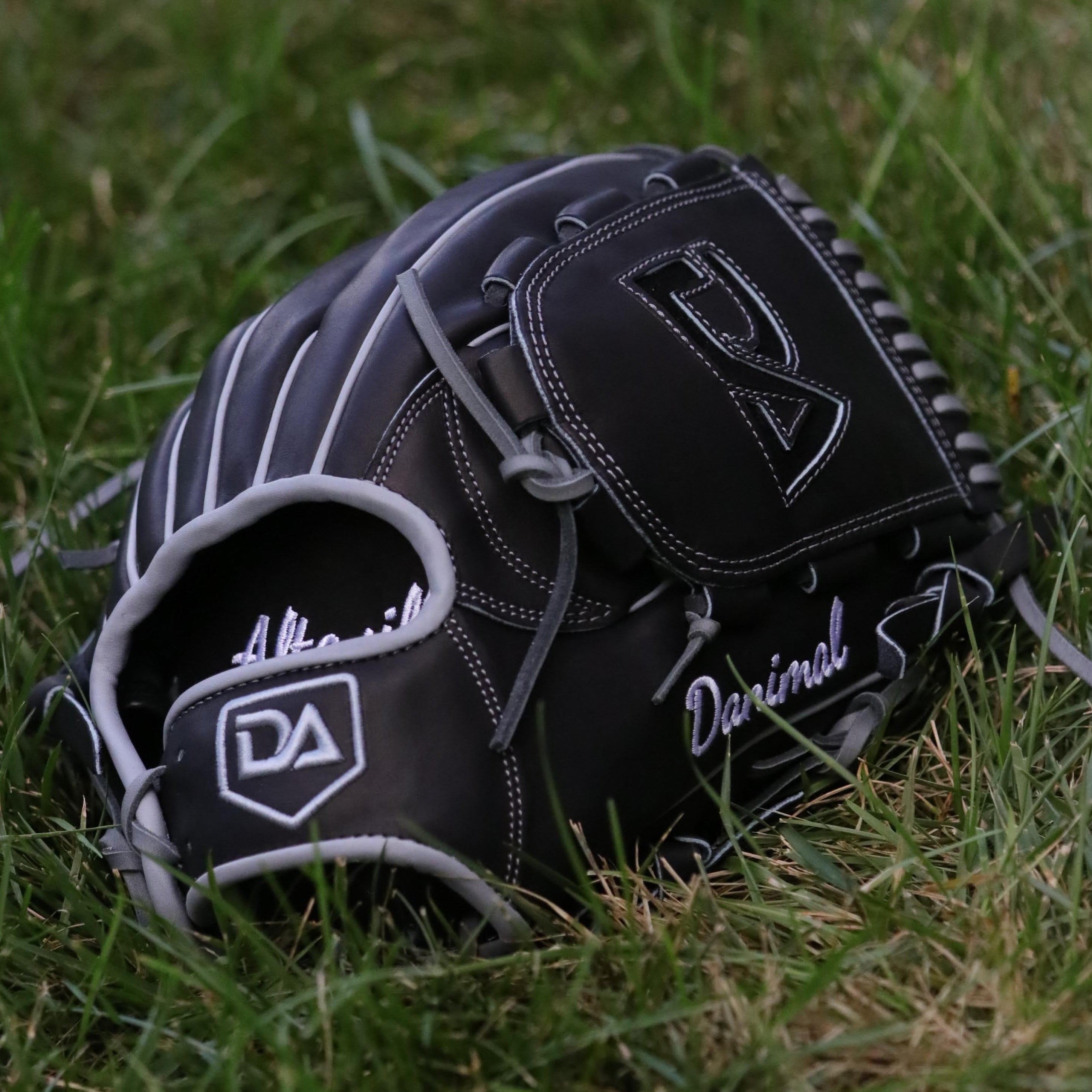 Dan Altavilla Pro Model Custom Glove