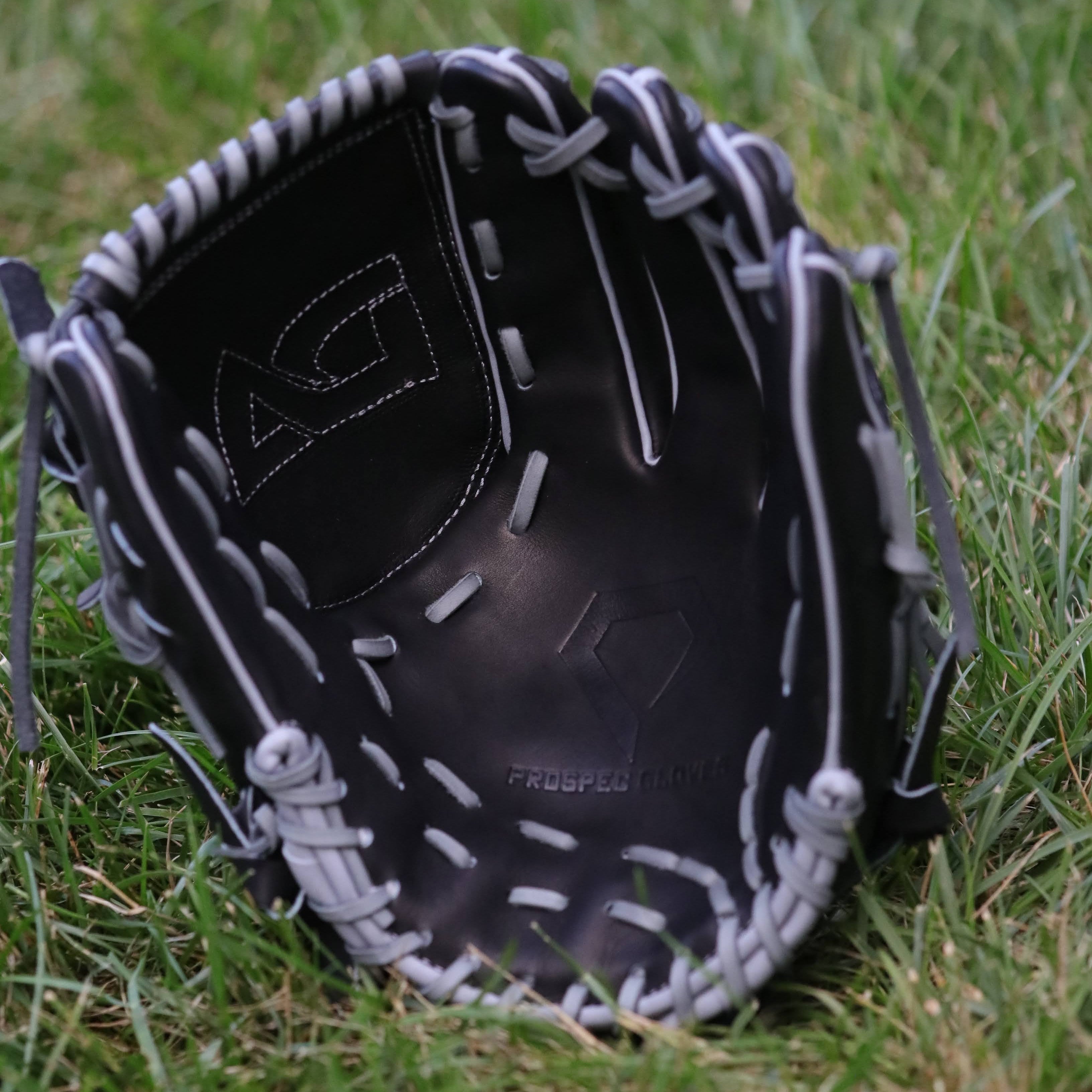 Dan Altavilla Pro Model Custom Glove
