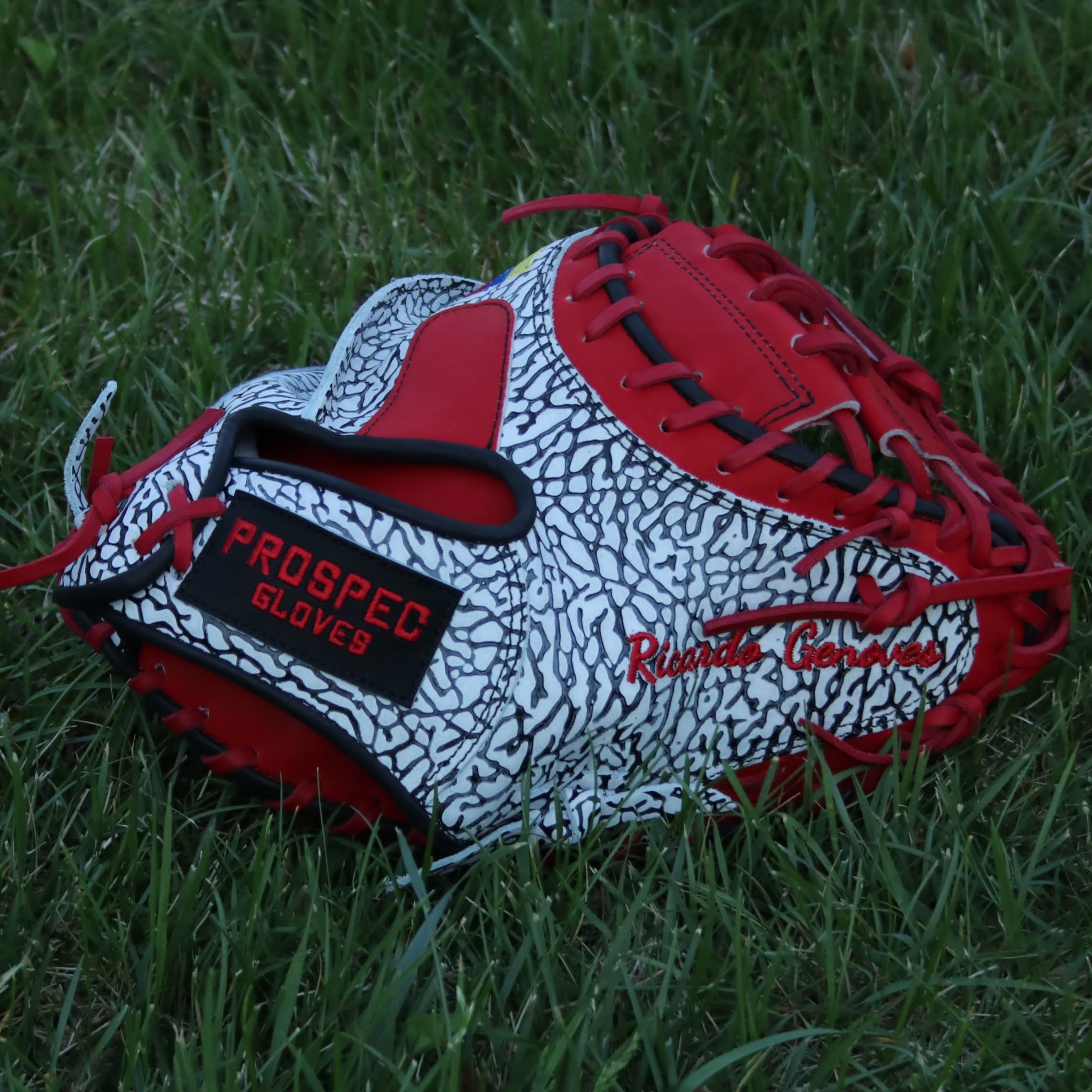 Ricardo Genoves Pro Model Custom Catchers Mitt