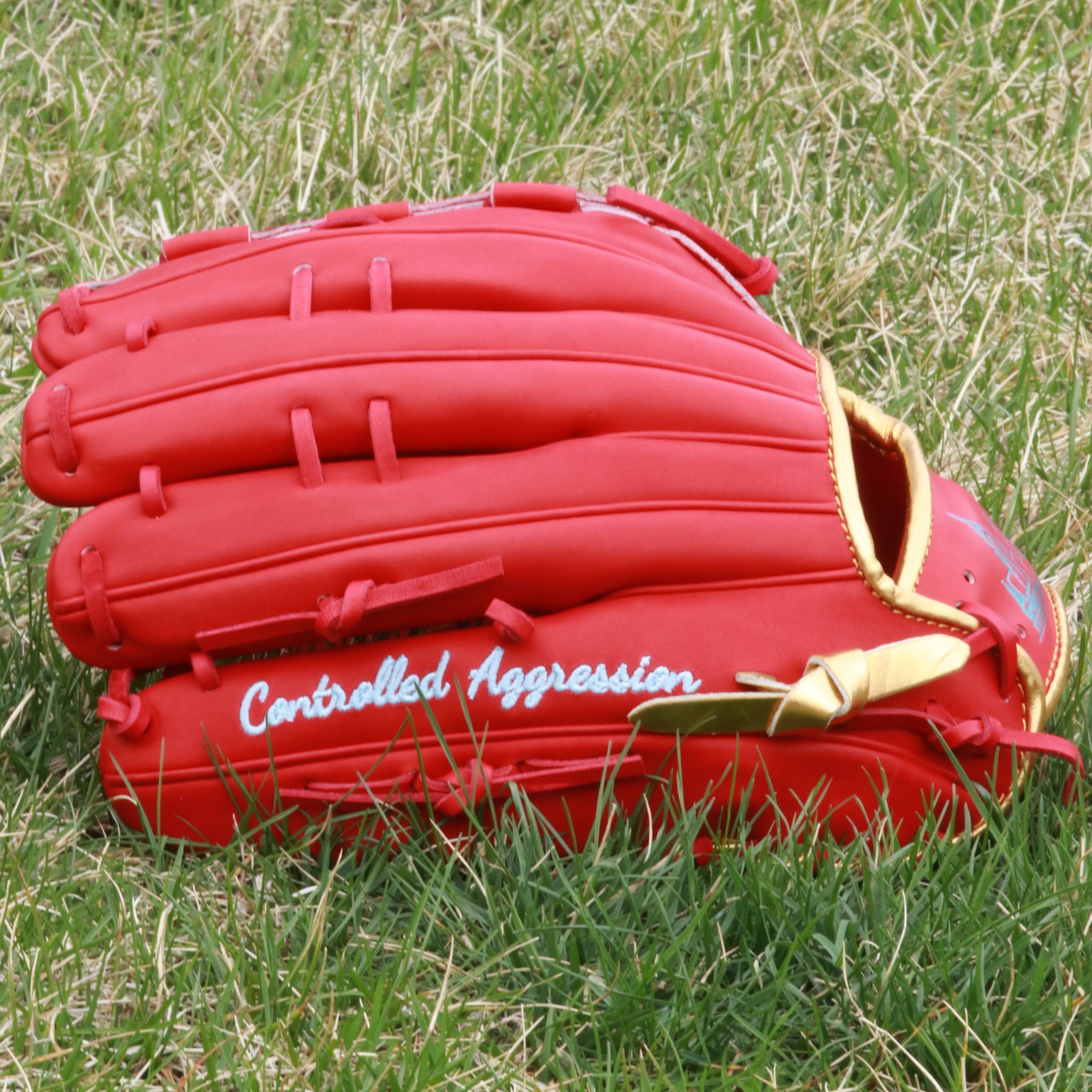 Brendan Cellucci Pro Model Philly Custom Glove